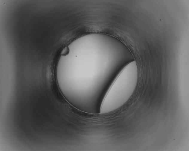 X0000102870743200808181045