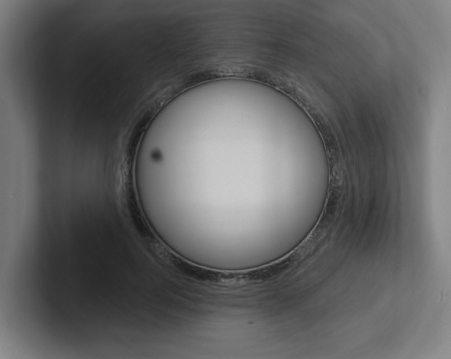 X0000102870744200808181045
