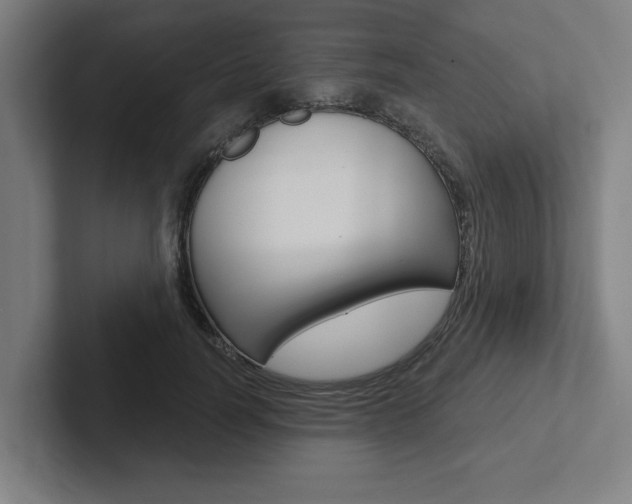 X0000102870746200808181045