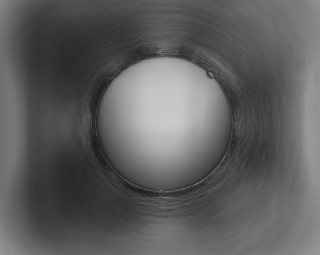 X0000102870748200808181045