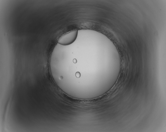 X0000102870749200808181045
