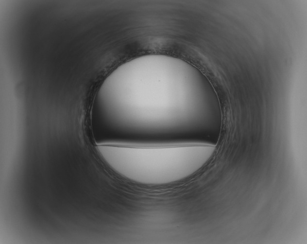 X0000102870750200808181045