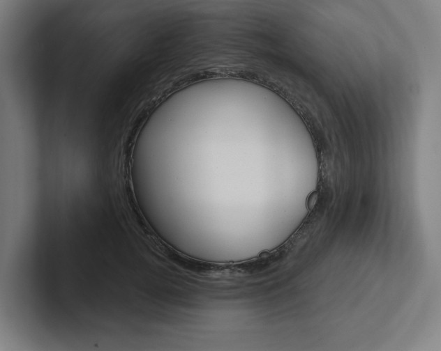 X0000102870752200808181045