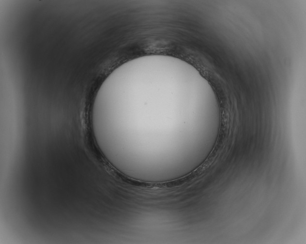 X0000102870755200808181045