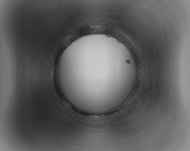 X0000102870756200808181045