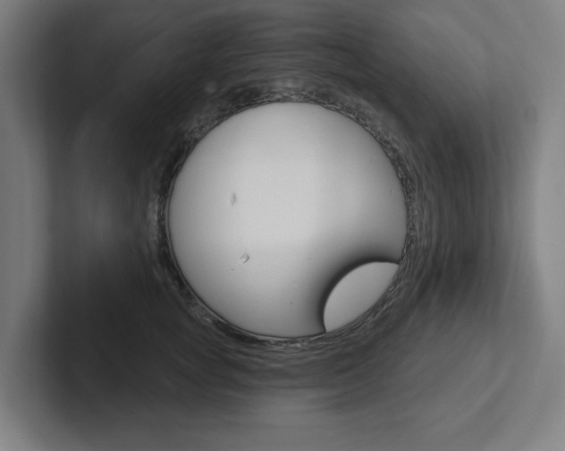 X0000102870757200808181045