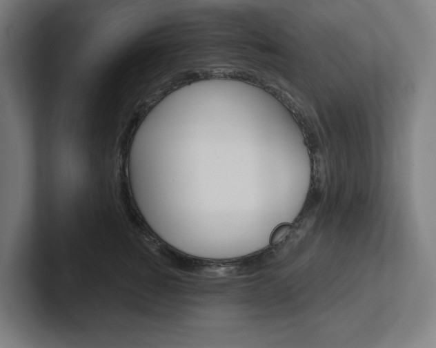X0000102870760200808181045