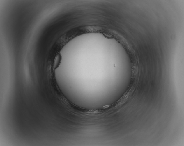 X0000102870762200808181045