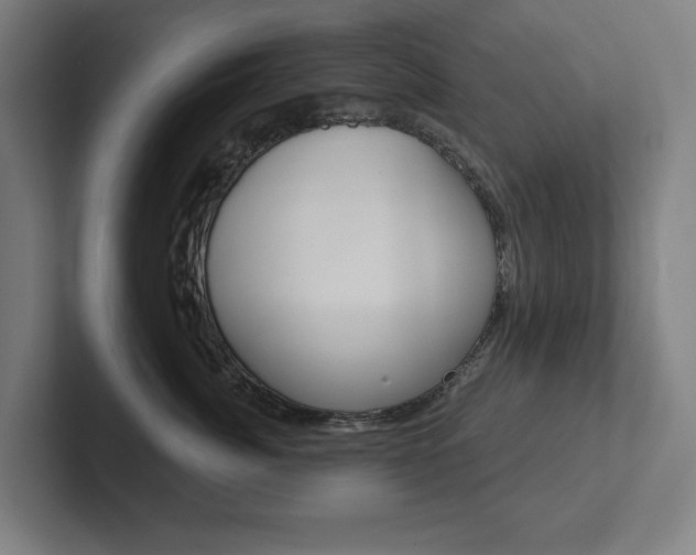 X0000102870764200808181045