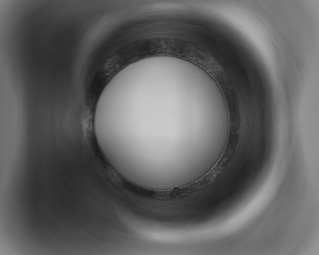 X0000102870766200808181045