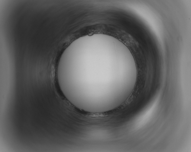 X0000102870767200808181045