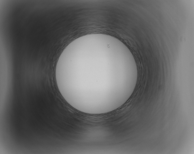 X0000102870768200808181045