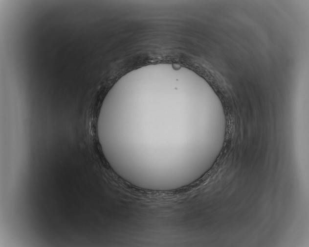 X0000102870770200808181045