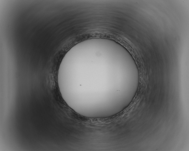X0000102870774200808181045