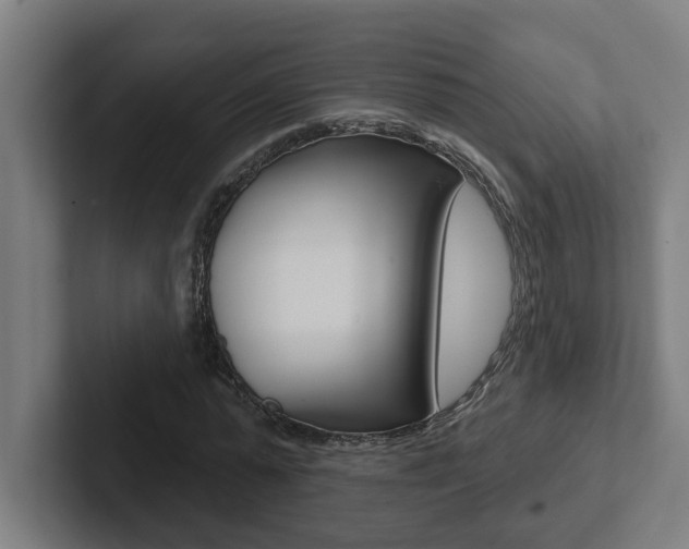 X0000102870775200808181045