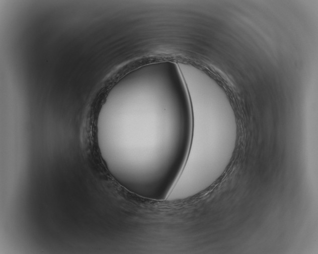 X0000102870776200808181045
