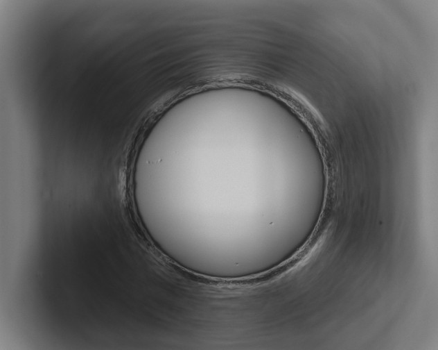 X0000102870777200808181045