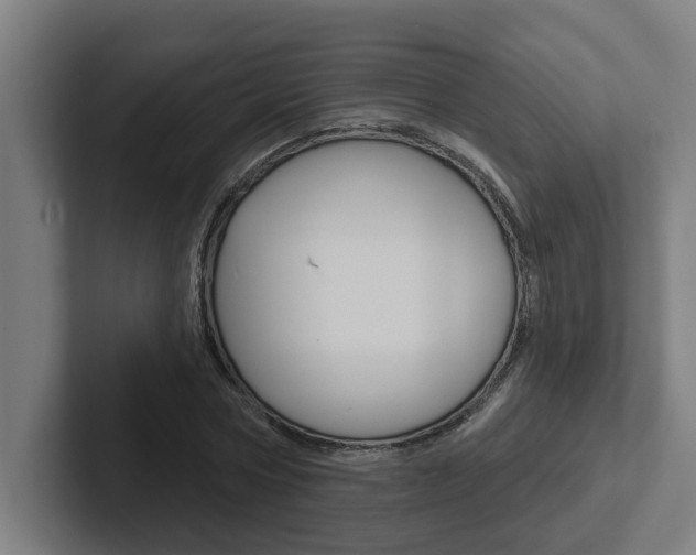 X0000102870778200808181045