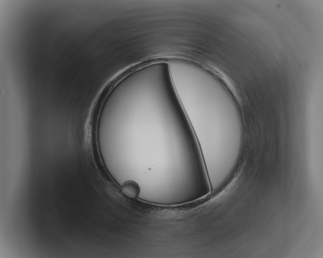 X0000102870779200808181045