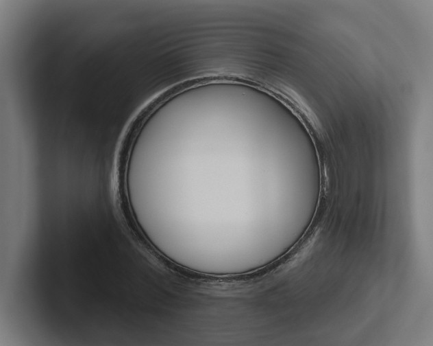 X0000102870780200808181045