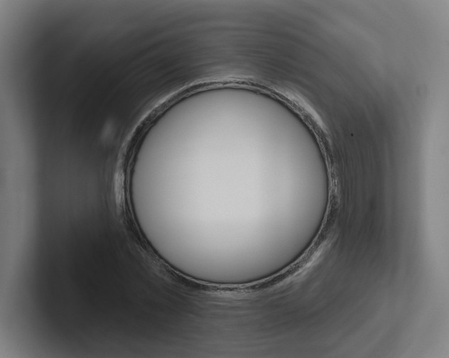 X0000102870781200808181045