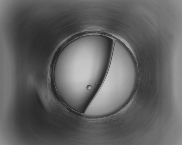 X0000102870783200808181045