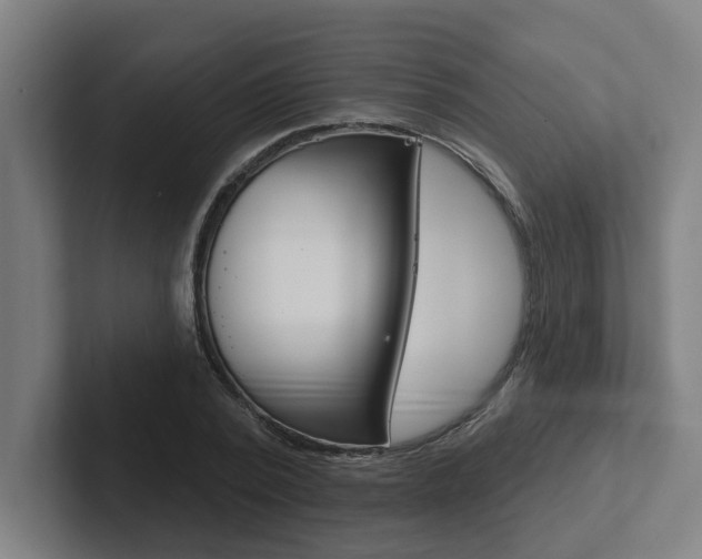 X0000102870784200808181045