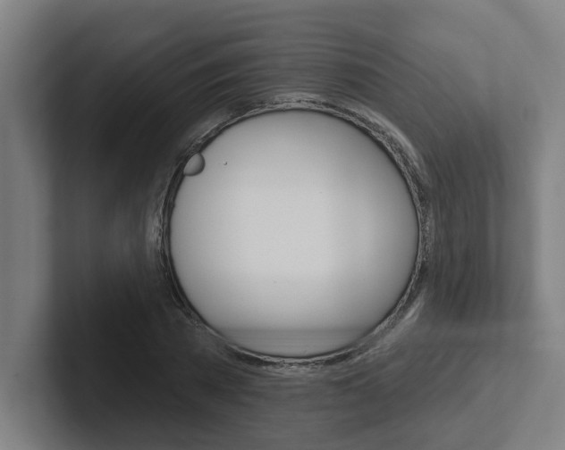 X0000102870785200808181045