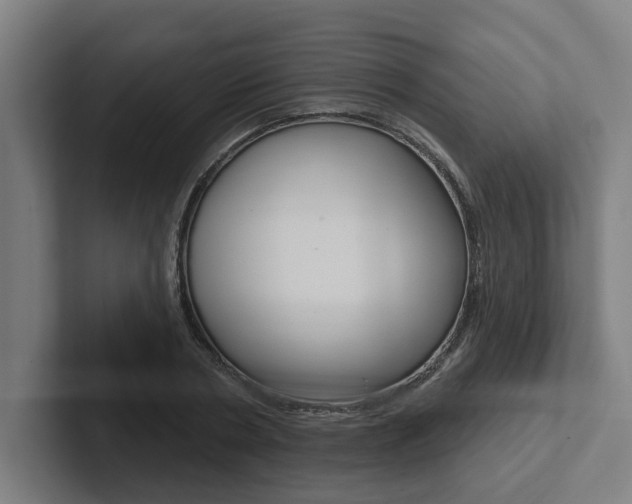 X0000102870786200808181045