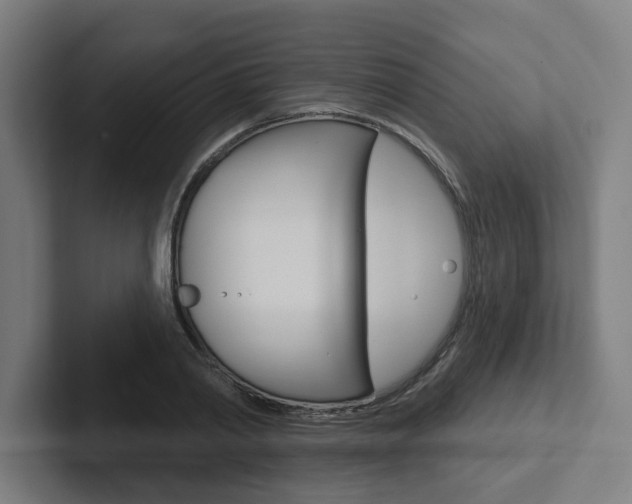 X0000102870790200808181044
