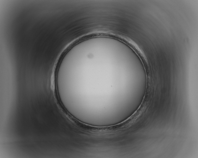 X0000102870791200808181044