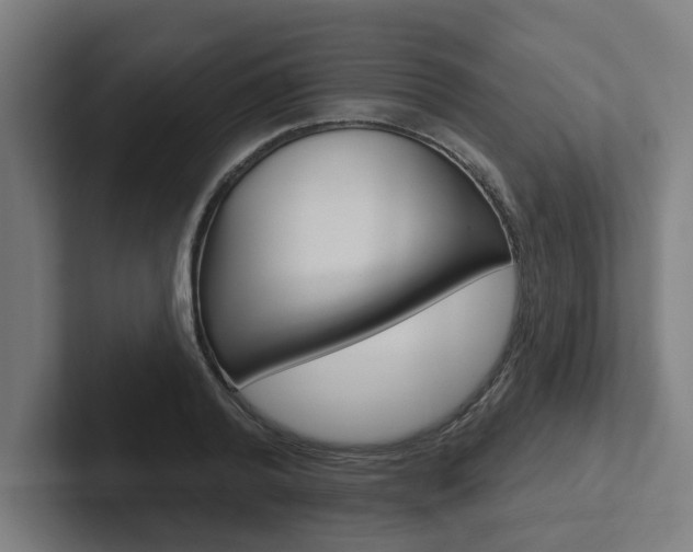 X0000102870792200808181044