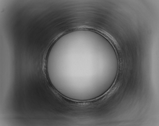 X0000102870793200808181044