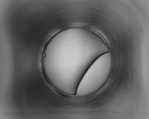 X0000102870794200808181044
