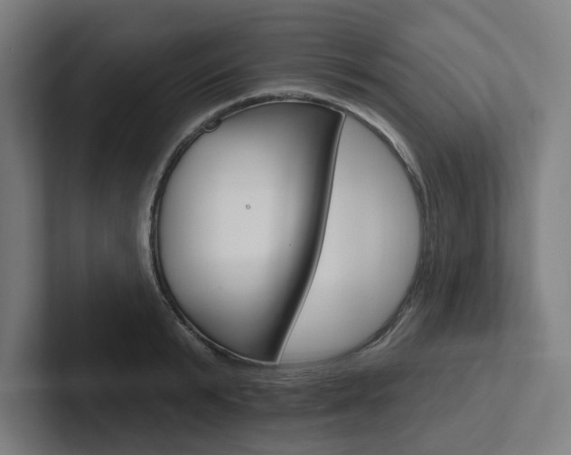 X0000102870799200808181044