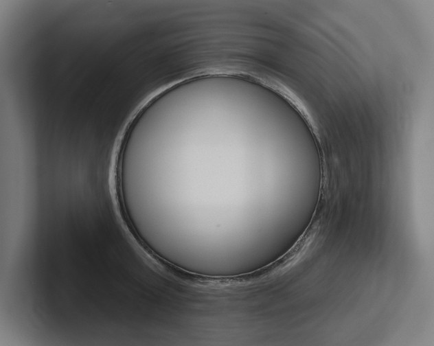 X0000102870803200808181044