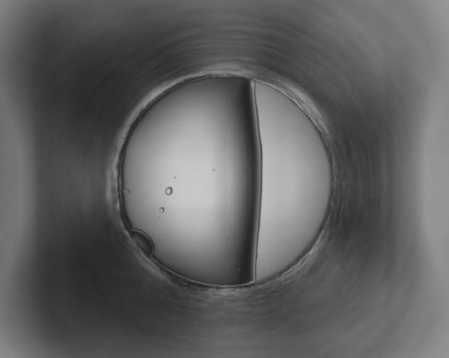 X0000102870808200808181044