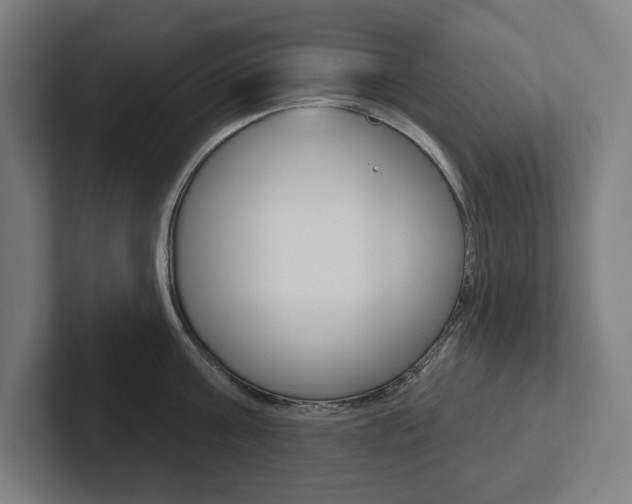 X0000102870811200808181044