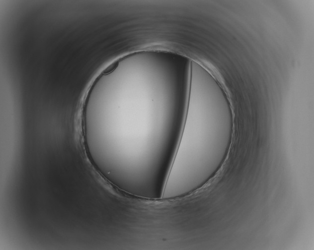 X0000102870816200808181044