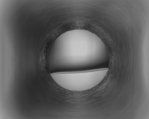 X0000102870818200808181044