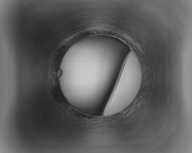 X0000102870822200808181044