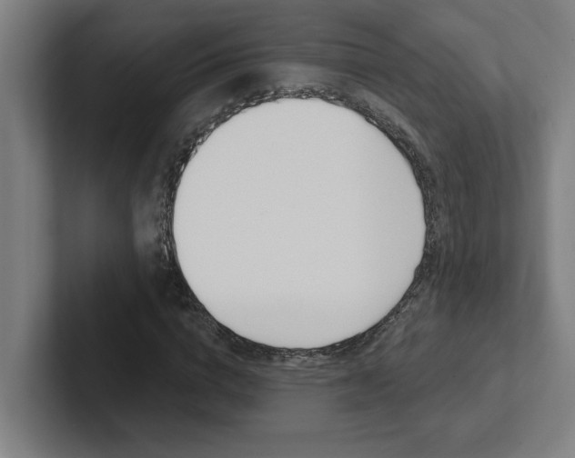 X0000102870824200808181044