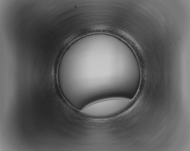 X0000102870825200808181044