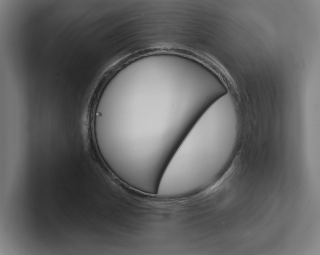X0000102870831200808181044