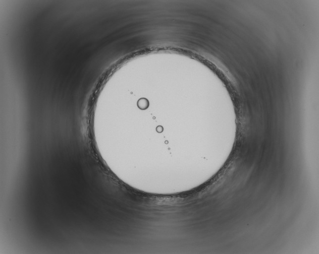 X0000102870832200808181044