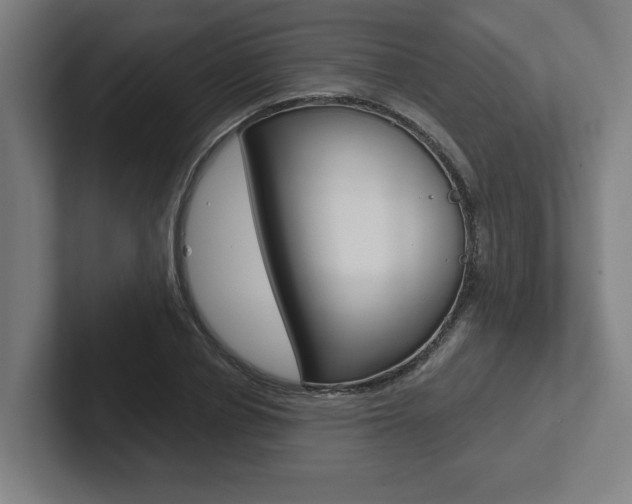 X0000102870834200808181044