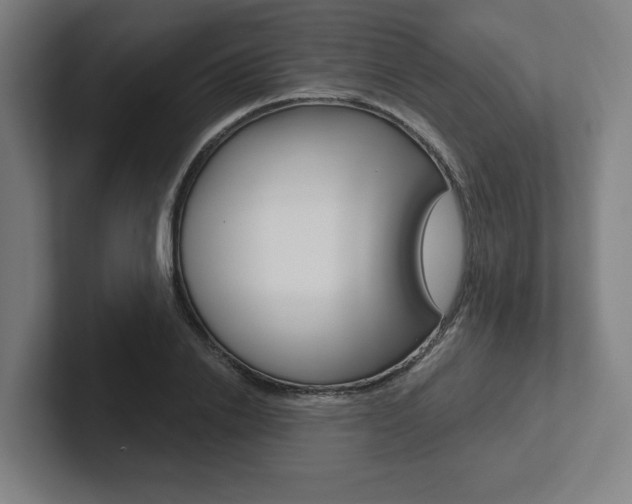 X0000102870838200808181044