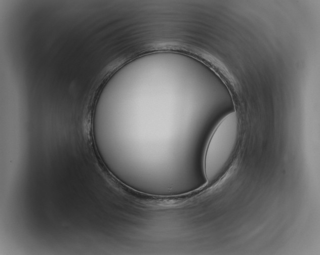 X0000102870841200808181044