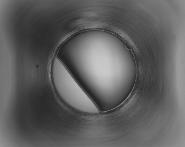 X0000102870842200808181044
