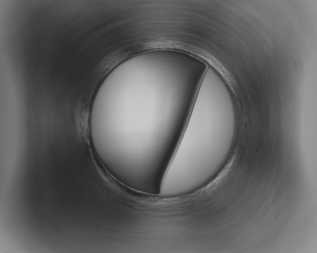 X0000102870849200808181044